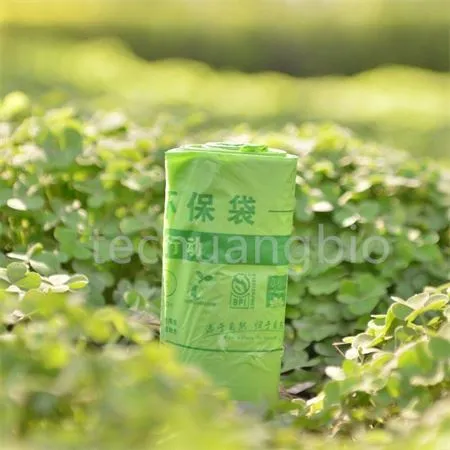 biodegradable bag